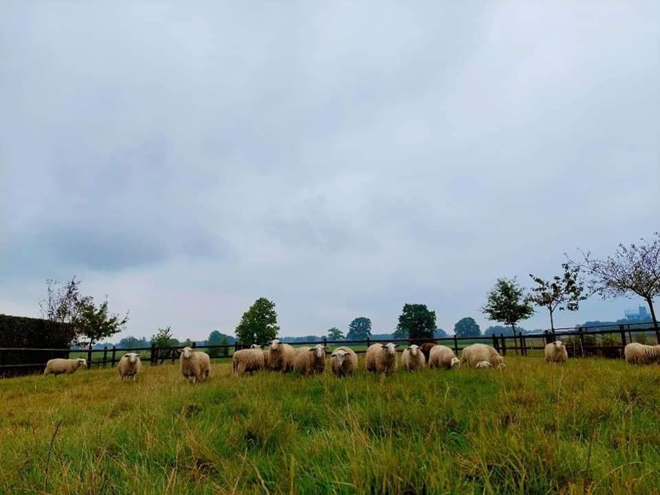 De Beredoezen - Sfeervolle Vakantiewoning In De Gezellige Kempen Retie Bagian luar foto
